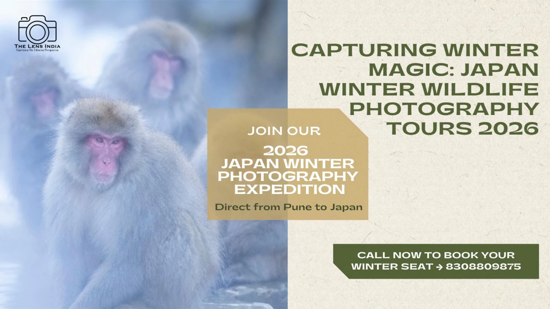 Japan Winter Wildlife Photography Tours 2026 2025-08-15