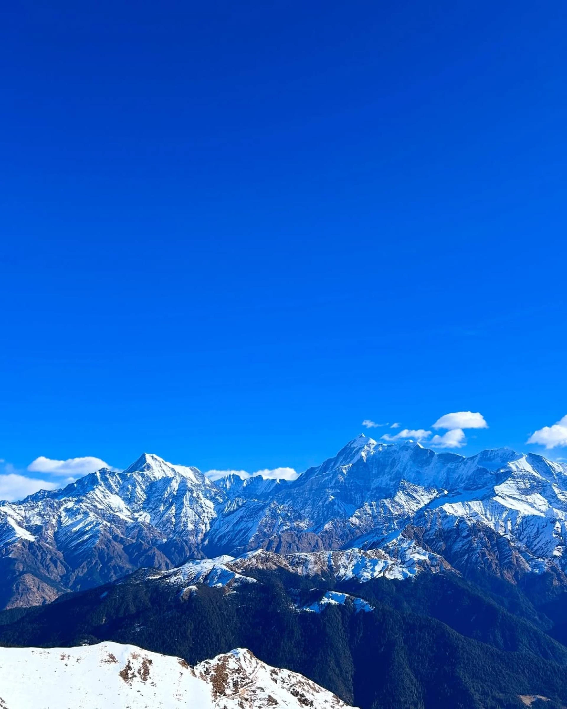 Brahmatal vs Kedarkantha: Which Winter Trek is Right for You 2025-2026