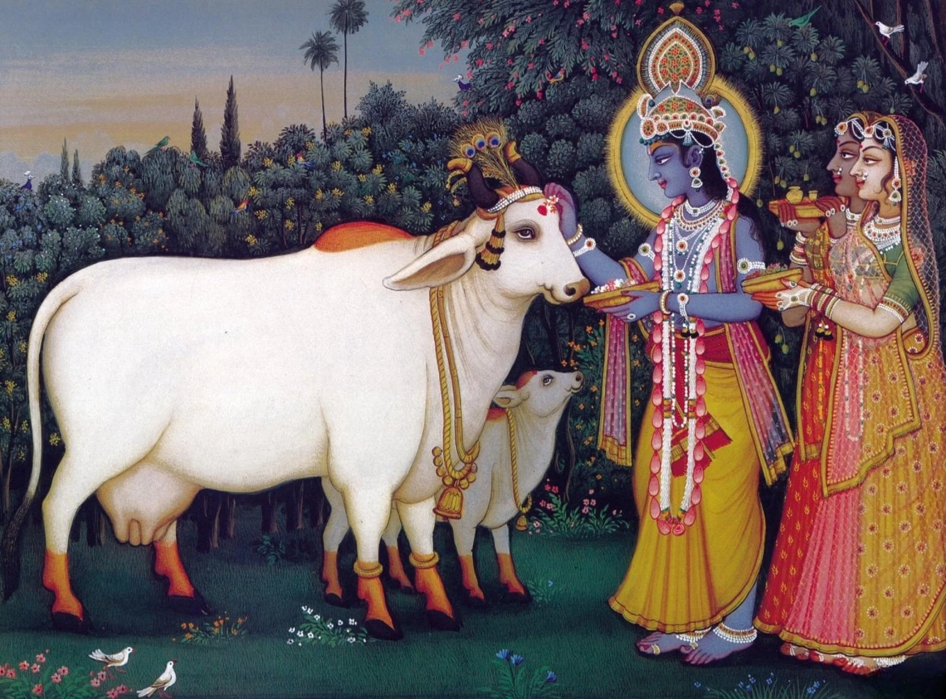 The Significance of Gau Mata in Our Sanatana Dharma at Krishnayan