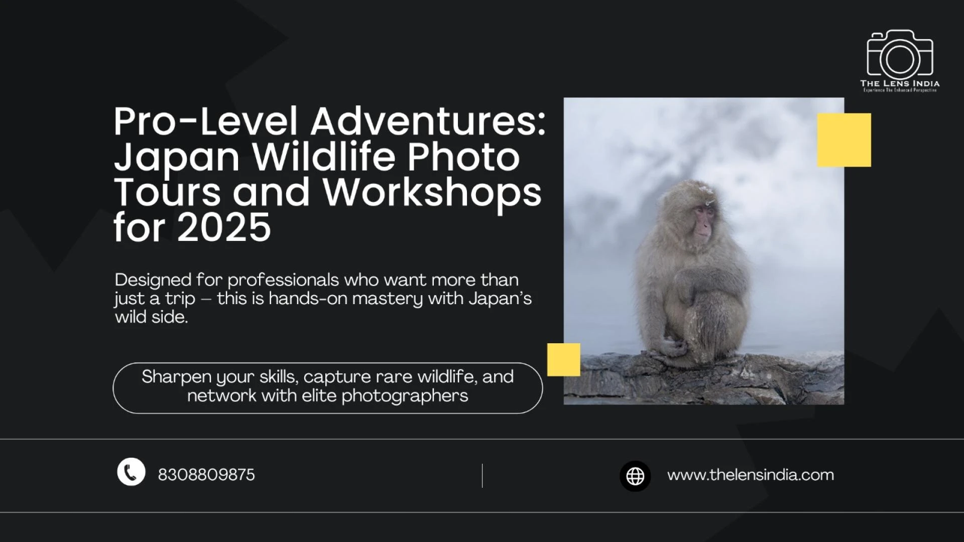 Pro-Level Adventures: Japan Wildlife Photo Tours and Workshops for 2025