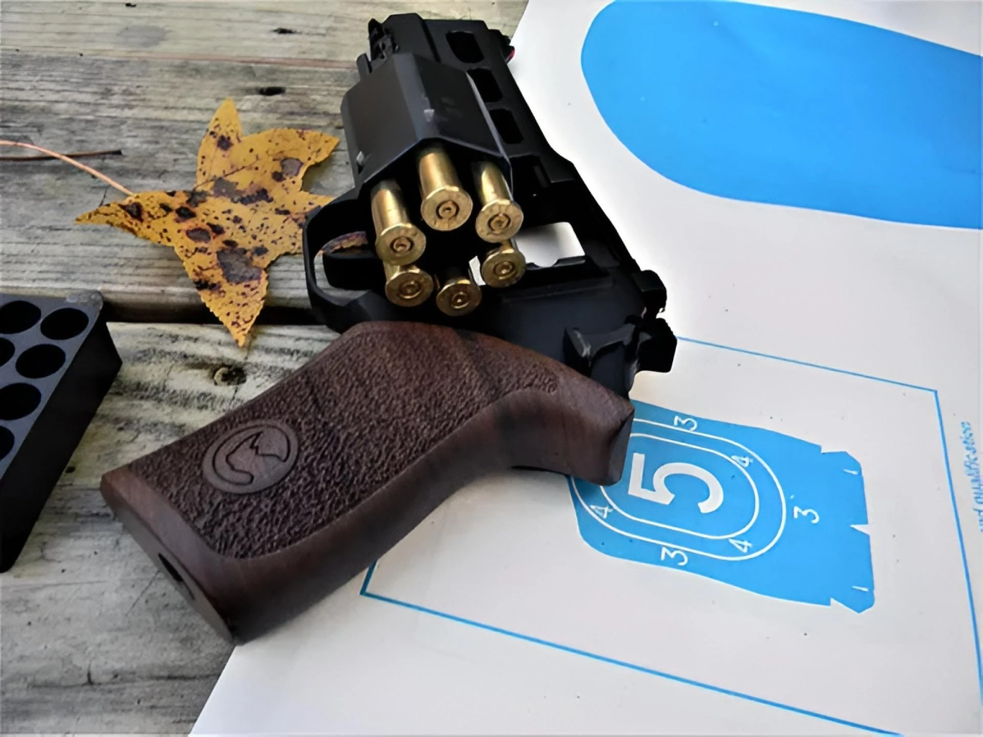 Advantages of Choosing the Chiappa Rhino for Target Shooting
