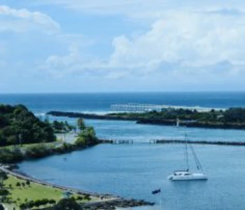 Building and Pest Inspection in Tweed Heads: Safeguard Your Property with BPI