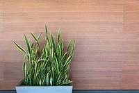 Grooved Ceiling Acoustic Panels – Elegant Noise Control for Modern Interiors