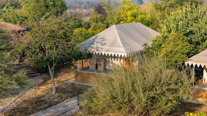 The Beehad Resort — Luxury Wildlife Resort in Sariska