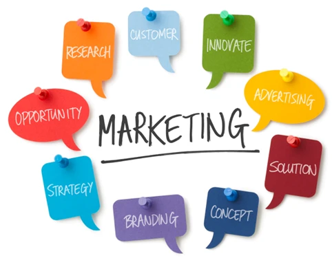 UK Perspective on Strategic Management: Lessons from CCCU