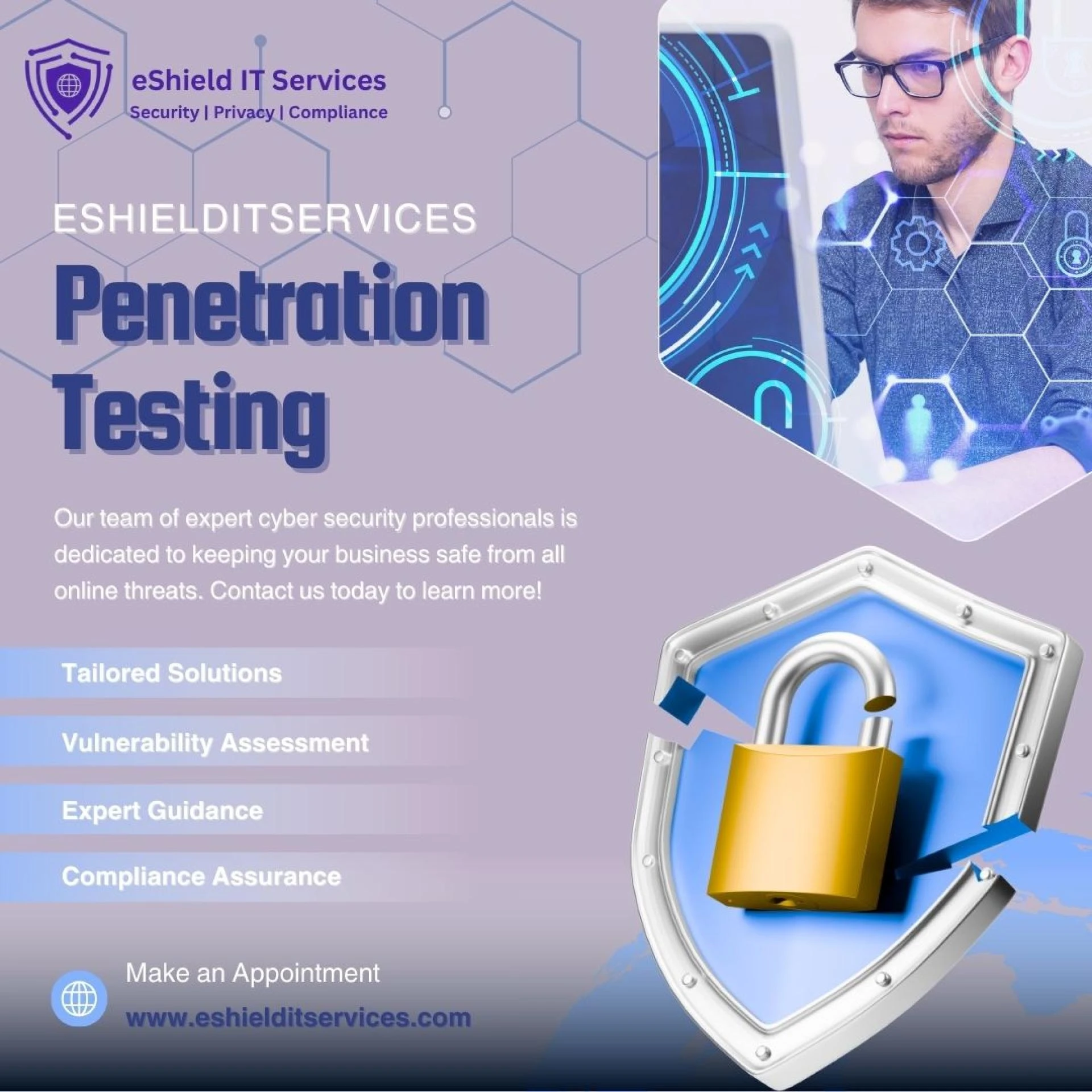 Professional Penetration Testing Services – eShield IT Services