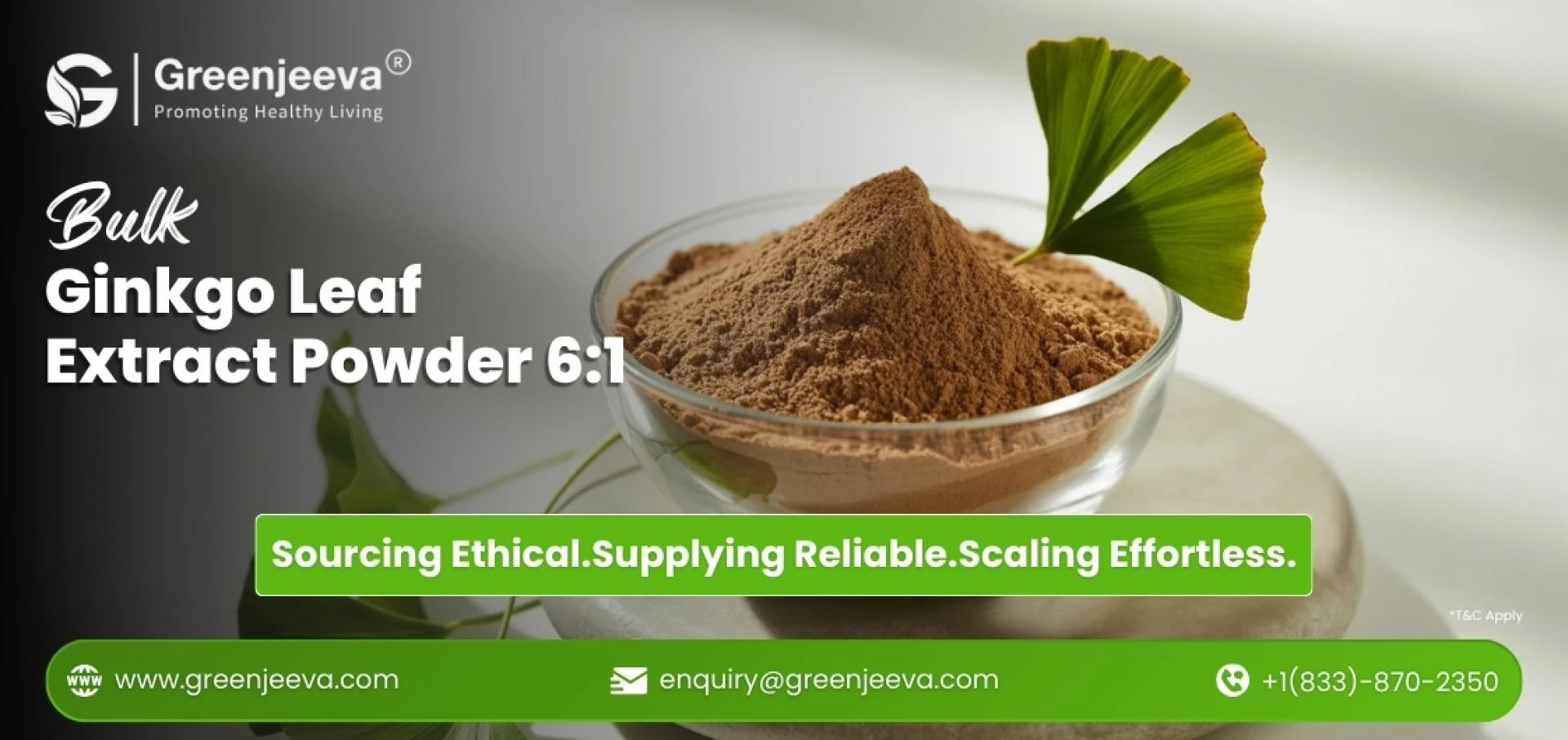 Ginkgo Leaf Extract Powder 6:1: A Buyer’s Guide to Sourcing Clean-Label Herbal Extracts in Bulk