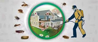 Top 10 Common Pests in Toronto Homes and How to Get Rid of Them