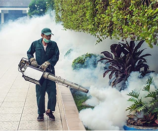 Rapid Pest Control in Abu Dhabi – Your Trusted Partner for a Pest-Free LifeDraft: My Post Title