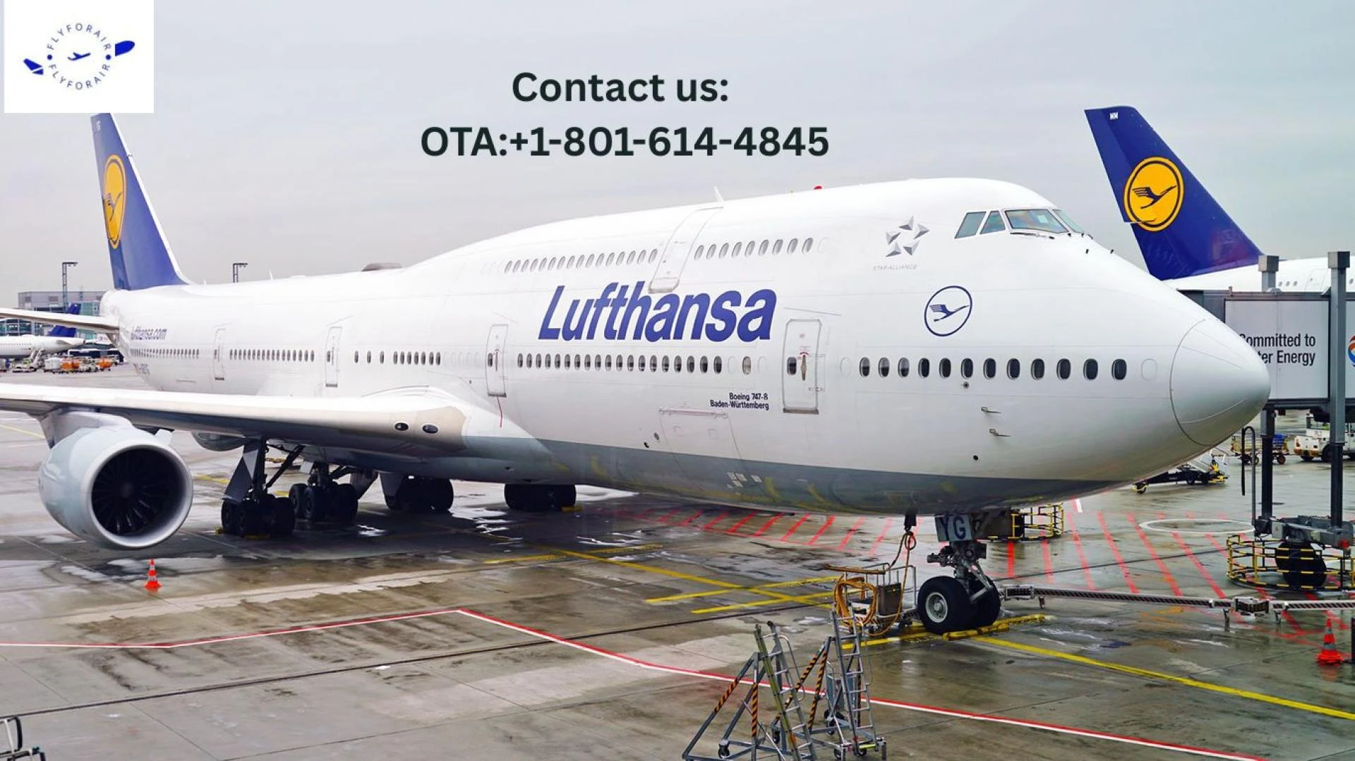 How do I talk to a real person at Lufthansa? Talk Or Text!