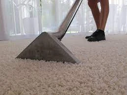 Stain-Free Sanctuary: Essential Rug Cleaning Hacks for Mount Coolum Dwellers