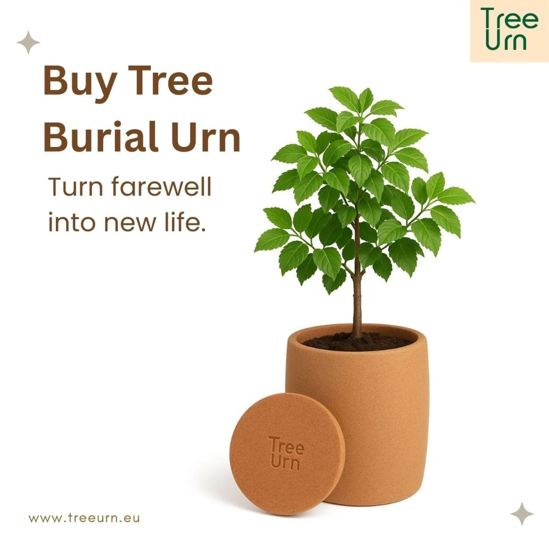 A Meaningful Choice: The Value of Choosing to Buy a Tree Burial Urn