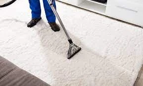 Transform Your Space: Rug Cleaning Services That Define Luxury in Fitzgibbon