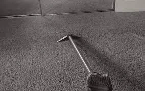 The Hidden Health Hazards Lurking in Your Carpet: Why Regular Cleaning is a Must in Beechboro