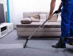 Revolutionize Your Home with Our Ultimate Guide to Carpet Cleaning in Piara Waters!