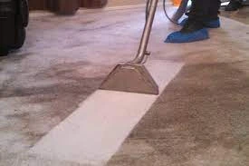 The Top 7 Benefits of Professional Carpet Cleaning Services in Melbourne