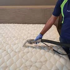 The Ultimate Guide to Carpet Cleaning in Adelaide: Expert Tips for a Spotless Home