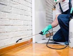 Pest Control in Clifton Hill: Tips and Tricks for a Critter-Free Home