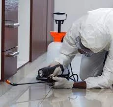 Protecting Your Home: Unveiling the Hidden Dangers of Pests in Ivanhoe