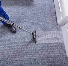 Insider Tips for Effective Carpet Cleaning: Insights from Marangaroo's Finest