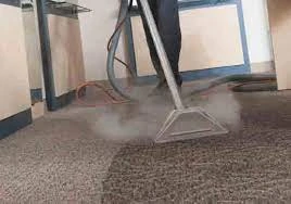 The Surprising Health Benefits of Regular Carpet Cleaning in Rivervale