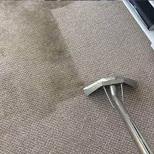 Carpet Cleaning Swanbourne: How to Identify Trustworthy Service Providers