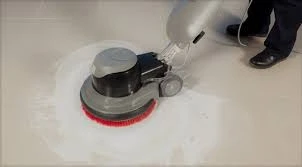 Enhance Indoor Air Quality and Health with Professional Carpet Cleaning in Cannington