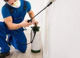 How Regular Pest Control can Protect Your Family in Melton