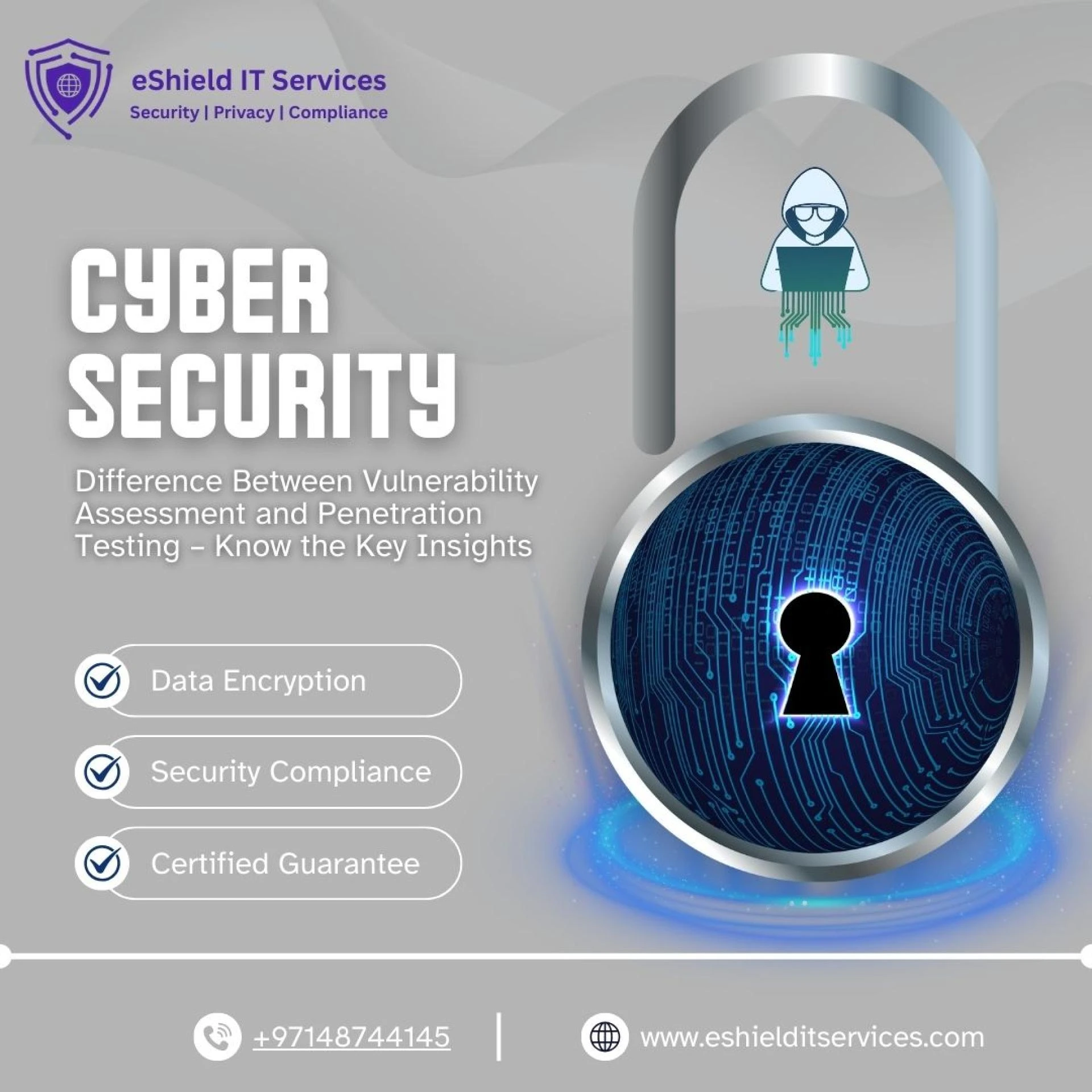 Vulnerability Assessment & Penetration Testing Services – eShield IT Services