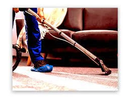 The Importance of Regular Carpet Cleaning for a Healthy Home in Wattle Grove