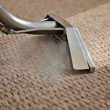 Professional Carpet Cleaning: A Comprehensive Stain Removal Approach in Nollamara
