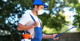 How to Choose an Affordable yet Effective Pest Control Service in Keilor