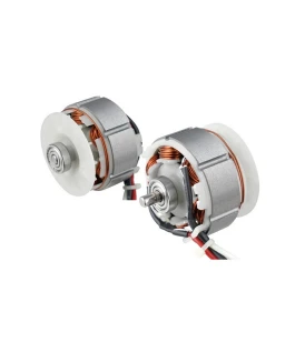 Brushless DC Motor