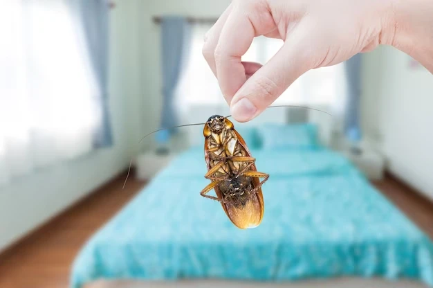 Cockroach pest control in Noida