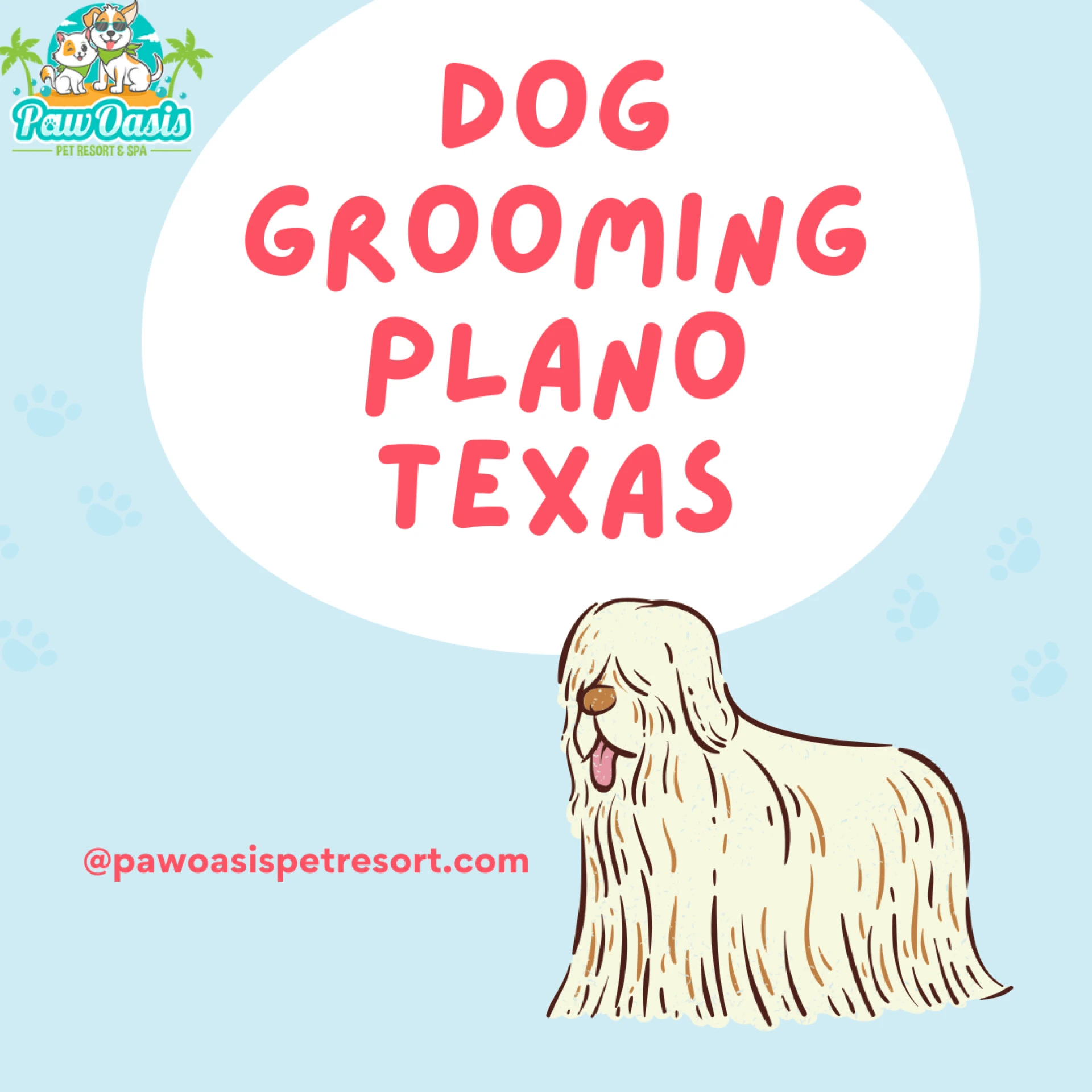 Why Is Regular Dog Grooming Essential? Discover the Benefits at Paw Oasis Pet Resort