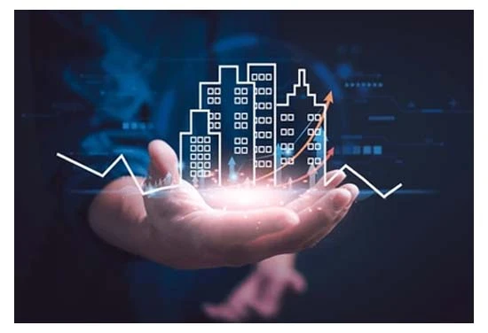 Beyond Picking Suburbs: Advisor Value Unpacked