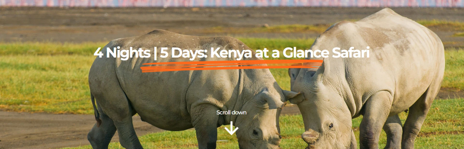 Explore Glance Safari Kenya Packages with Twiga Tours