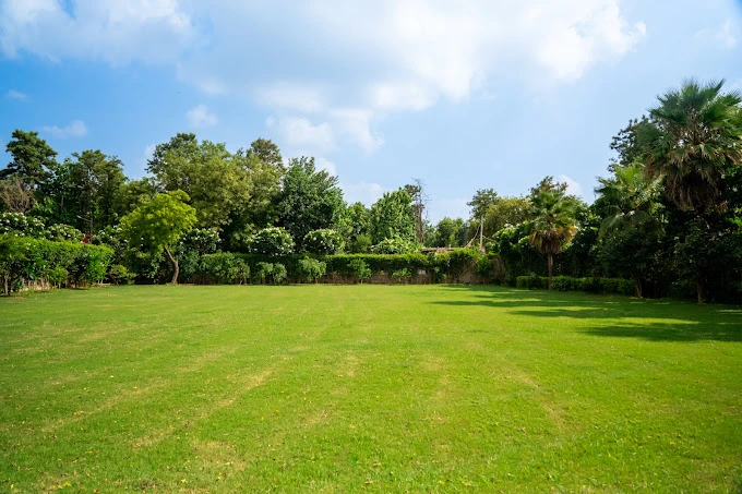 Experience Tranquility at the Best Farmhouse in Gurugram