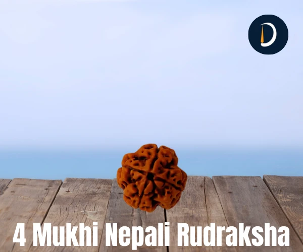 4 Mukhi Nepali Rudraksha – The Bead of Knowledge, Wisdom & Expression