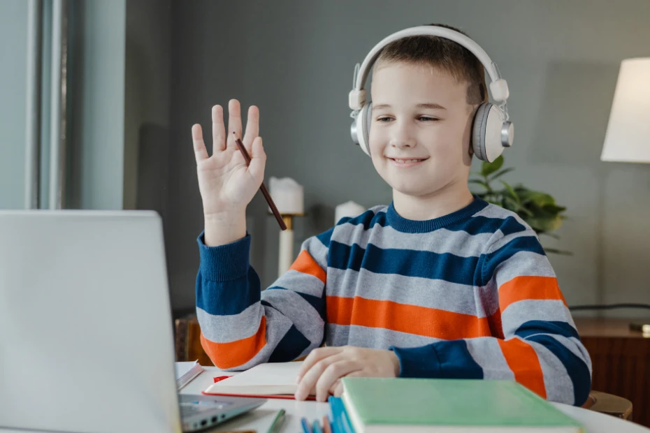 Choosing the Right Online Education Option