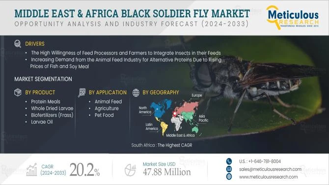 Black Soldier Fly in MEA: Key Drivers Shaping the Market Outlook