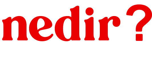 What is Nedir.life? A Cultural Guide to Simple Answers