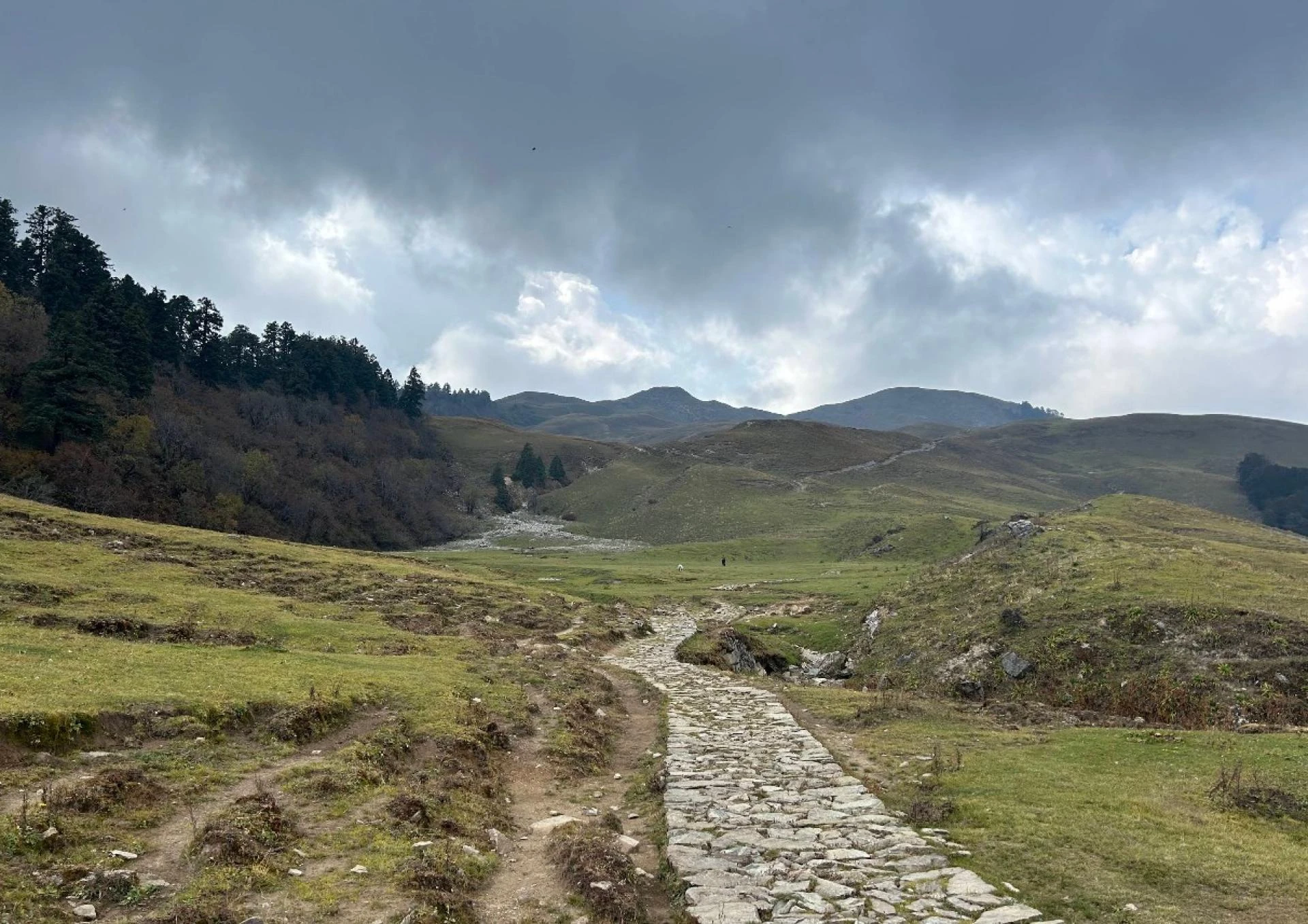Dayara Bugyal Trek – The Magic of Autumn in Uttarakhand’s High Meadows