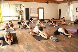 Discover Transformation With The 200 Hour Yoga Teacher Training In Rishikesh At Punyah Yoga