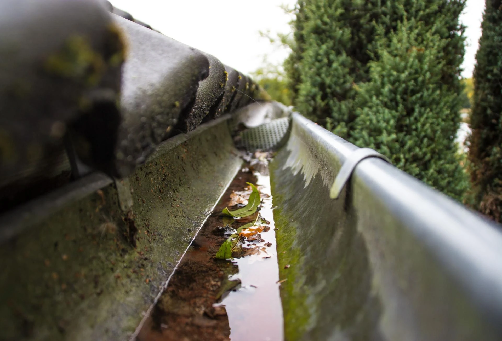 Top Maintenance Tips to Extend the Life of Your Rainwater Gutters