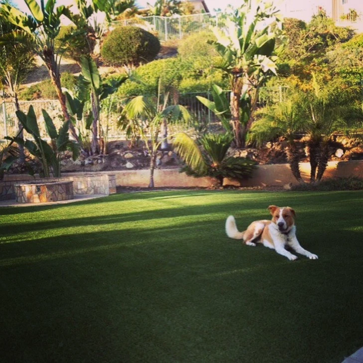 Pet-Proof Your Lawn: How Artificial Turf Keeps Your Yard Clean and Mud-Free