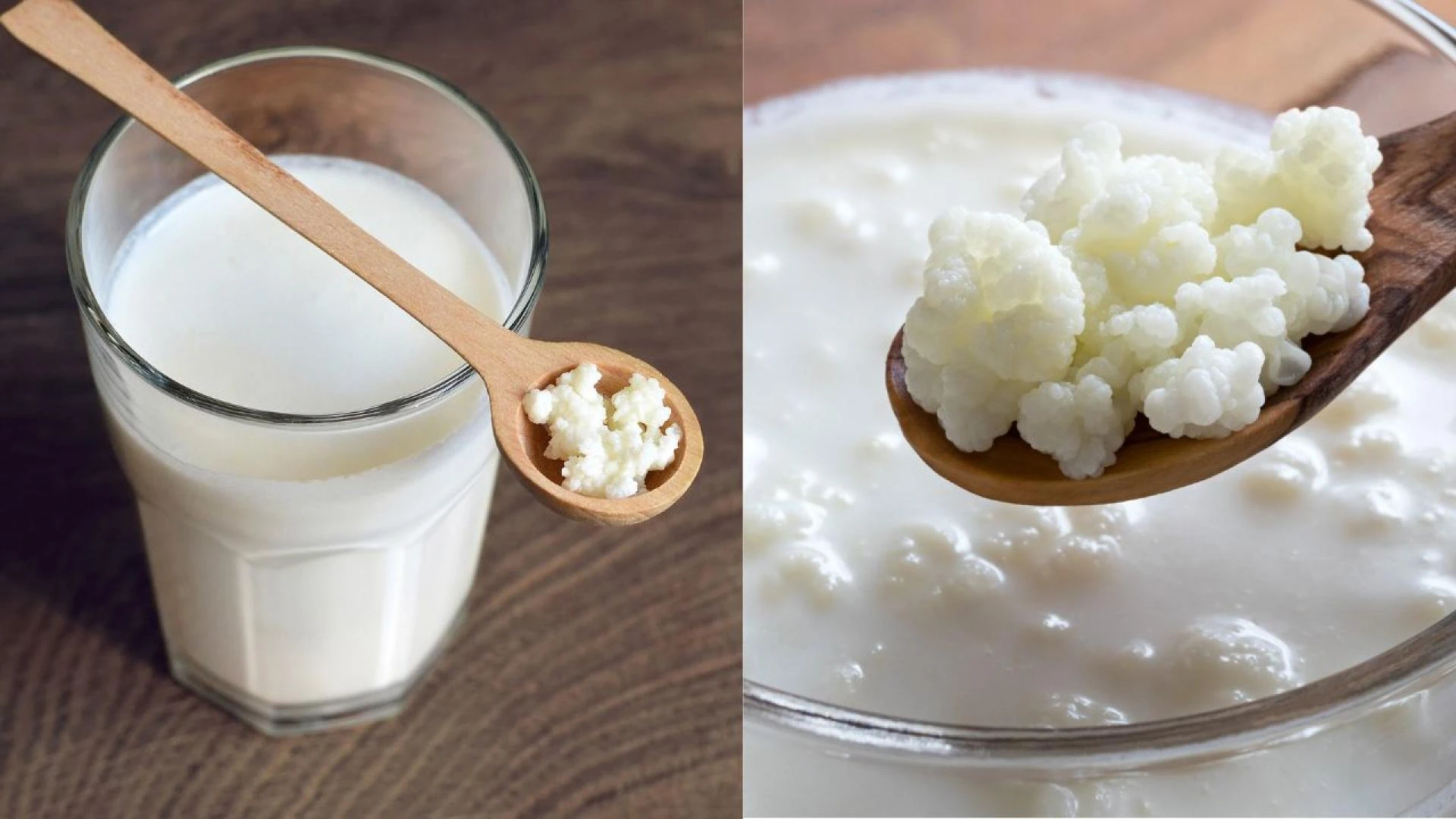 Discover the Best Kefir Grains for Health and Wellness