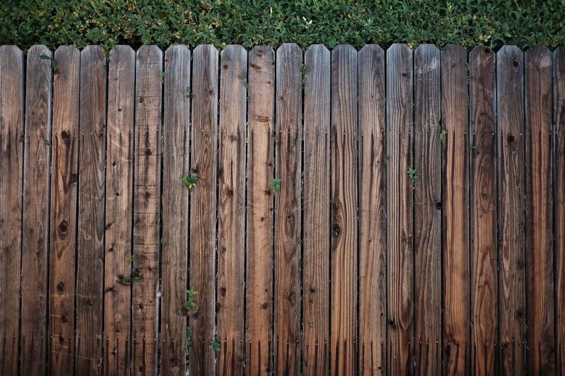 Smart Fence Investment: How Burlington County Homeowners Balance Style and Security