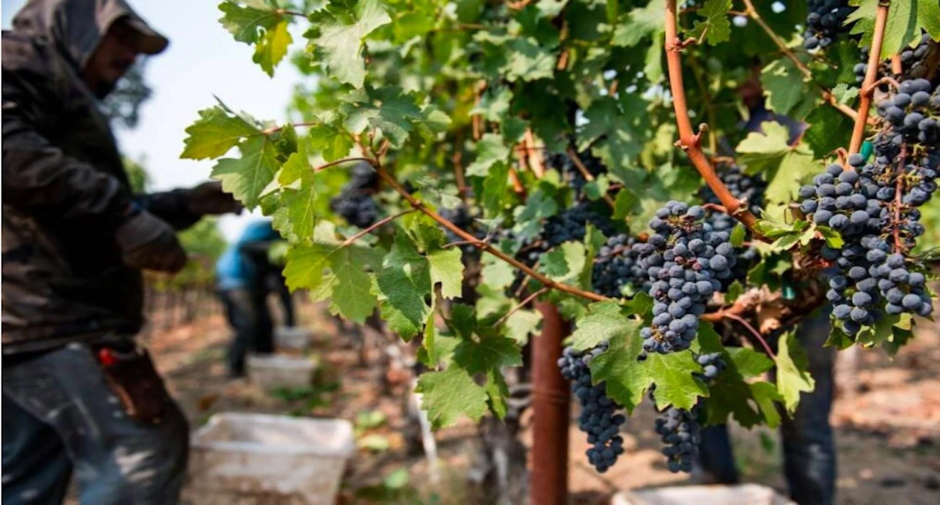 Creative Energy of New York Expressed in Fractal Geometry Art