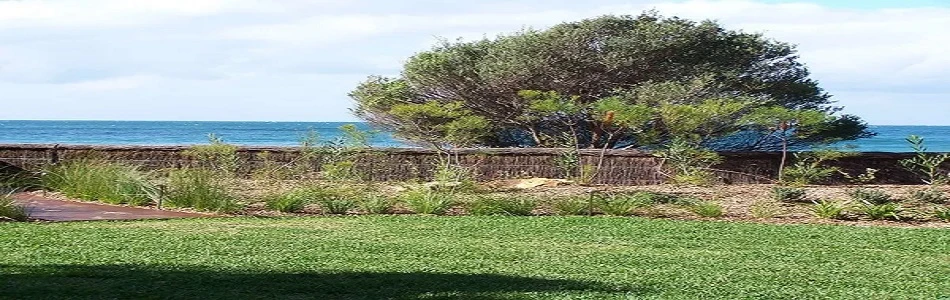 Why Brushwood Fences Feel More Like Nature Than Barriers